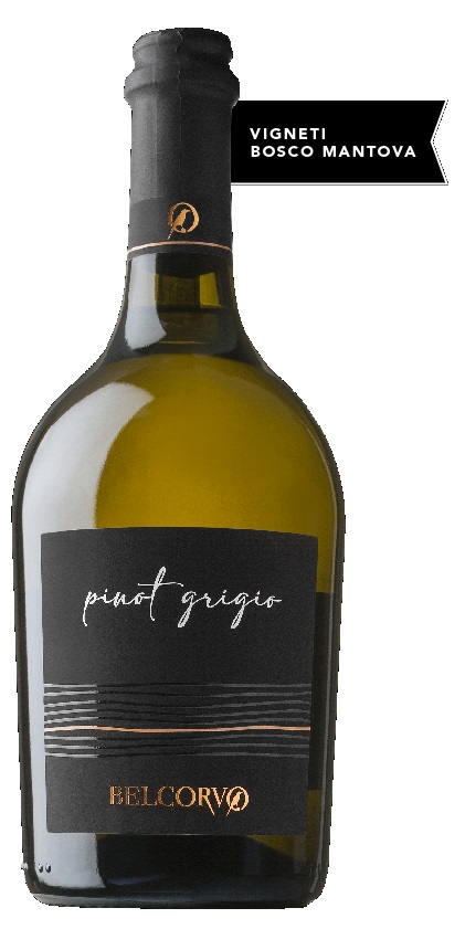 Pinot Grigio DOC Venezie